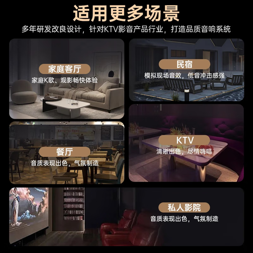 Hyundai Modernes Heimkino -Gesangsmaschine KTV Audio Set Hochleistungsverstärker Karaoke Haushalt Sang Karaoke Ausrüstung Wohnzimmer Konferenzraum Karton Lautsprecher Lautsprecher