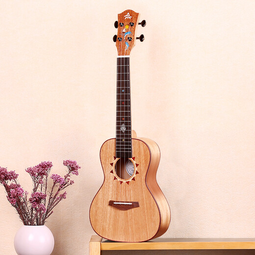 Ajima AJIMA full single ukulele adult female small guitar A2 children beginner ukulele 26 inch wood color A2 full single