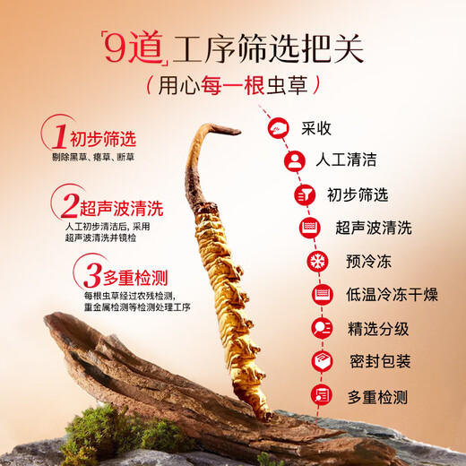 余仁生冬虫夏草 干虫草礼盒约3-4条/克 10g 约35根 送礼长辈 端午节礼物