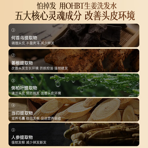 
OHBT ginger oil-controlled shampoo 500g, hair-controlled oil-controlled shampoo