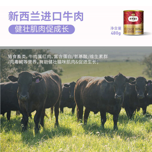 Flegat 98% high meat content FPMR raw bones and meat full price staple food freeze-dried cat food Adult cat natural food Beef flavor 480g