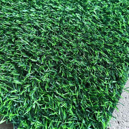 Duoxiu, artificial lawn carpet, plastic fake turf, artificial turf balcony, outdoor artificial turf, kindergarten fake turf, 2cm standard spring grass, 1 meter wide, take a few pieces to get a few meters, high grade