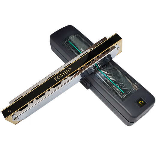 通宝日本原装进口 21孔复音口琴成人专业演奏级表演送人乐器口琴 3521 Am 和声小调