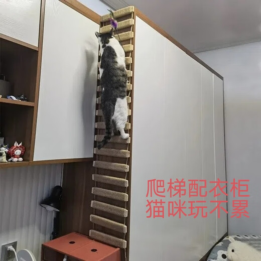 宠宝它猫爬架 蹬天梯 猫爬绳梯 桥梯两用可架空连接跳台 磨爪神器 豪华款剑麻软梯/适合衣柜或架空 1.5米