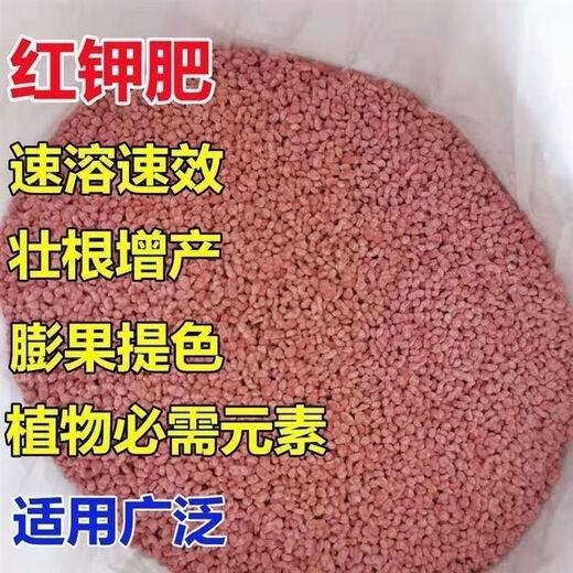 Potash fertilizer wholesale Russian imported high-potassium high-efficiency fertilizer general instant fertilizer for agricultural flowers, fruit trees and vegetables red granular potash fertilizer 100Jin Jin equal to 0.5kg