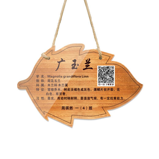 Customized acrylic tree sign, school park nameplate, flower, fruit tree, signboard, tree introduction, courtyard B&B, custom shot 24x15cm