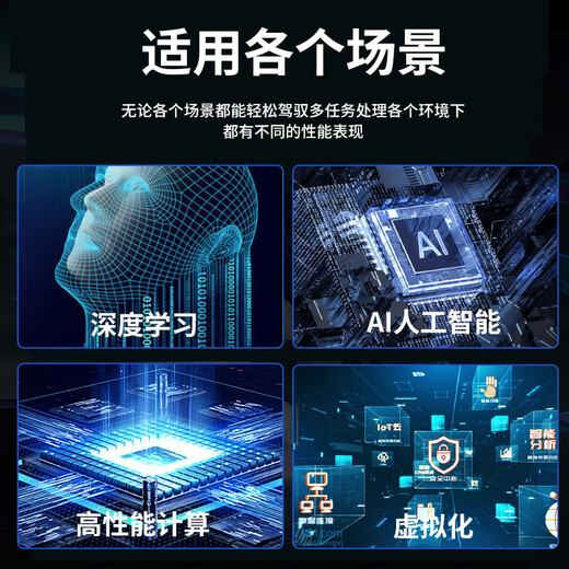 戴尔（DELL）R740服务器主机 机架式存储GPU服务器DeepSeek本地部署 1*4210R 10核心20线程 16G/2块1.2T/H330
