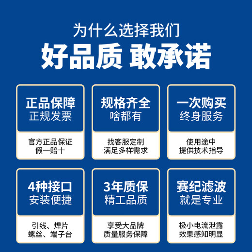 Saiji SJ4L2 power filter 220V AC emi rail double section anti-interference power purifier SJ4L2-20A-ST (with guide rail at the bottom)