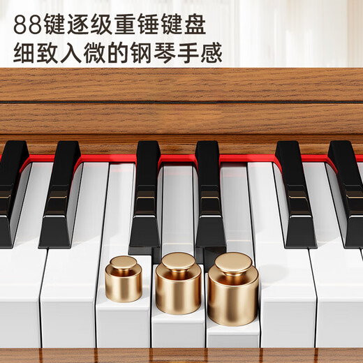 贝琪电钢琴重锤88键成人家用初学者专业考级家用书桌电子钢琴B826黑