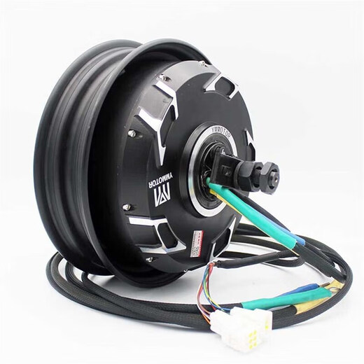 Customized for No.9/car modification 10-inch/12-inch Yuma motor 2000W 12-inch 6000 tile light plate torque version