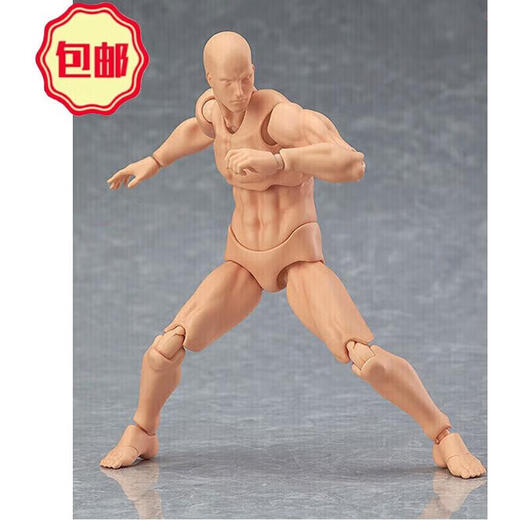 JPHZNBSHF Gelenkbewegbar Figma Kinderpuppen Körper Jugend menschlicher Körpermodell Comic Dekoration Kunst Ornament Hautfarbe Frauenstil