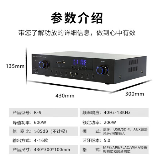 纽曼（Newmine）R-9 家庭影院卡拉OK功率放大器 KTV舞台会议室定阻大功率功放机