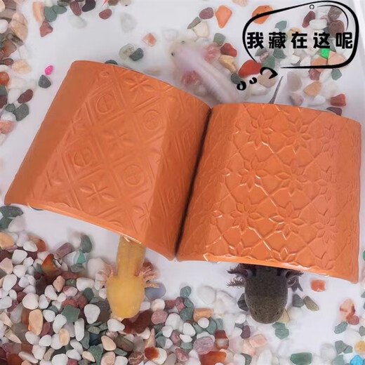 Han Chang hexagonal dinosaur fish shelter decorated fish tank landscaping turtle breeding axolotl pet fish ornamental ornaments small pineapple house