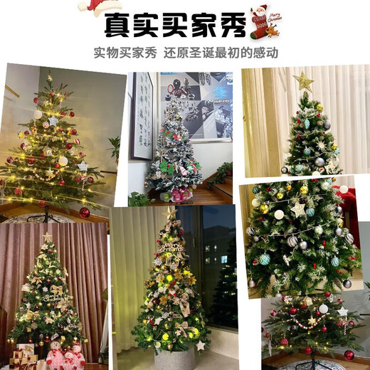 Duomeiyi Christmas Tree Package Christmas Decorations Home Shopping Mall Hotel Atmosphere Layout Luxurious Encrypted 1.8 Meter Christmas Tree