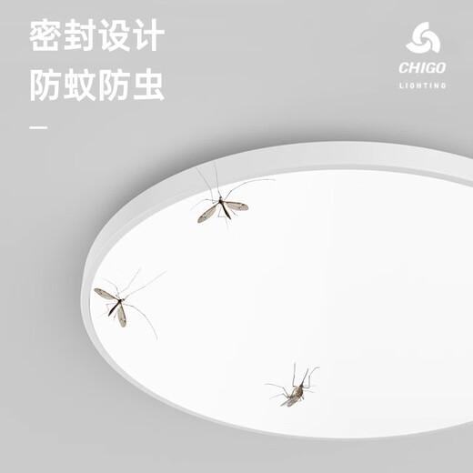 Fanyao led voice-activated sensor light ultra-thin three-proof ceiling-mounted lamp stair aisle corridor corridor light smart light 36W-voice-activated sensor