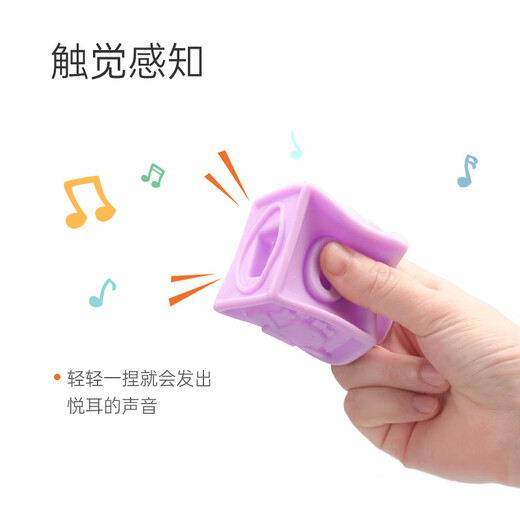 Hape(德国)婴儿童拼插玩具大颗粒易抓握软胶浮雕积木生日礼物E8365
