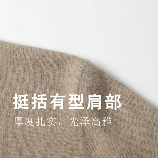 SHANSHAN [100% Cashmere] Pullmère en cachemire pour les hommes en automne et hiver chaud confortable et doux et doux pour la peau rond Pullor Casual Sweater Café l 175 / 92A