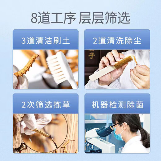 Wazang Genuine Cordyceps Cordyceps Gift Box in the Head Future Dry Cordyceps Cordyceps Cordyceps High Altitude 4 roots/g 10 grams Total 40 roots [Store Manager recommended]