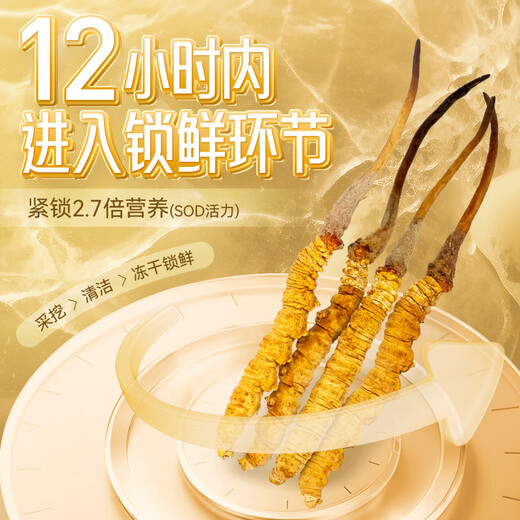 
Dongyangguang Organic Cordyceps sinensis 3-4 roots/g New dried Cordyceps nourishing gift box Cordyceps supplements for parents and elders 50 grams 2-3 roots/g [Lock fresh grass, business gift]