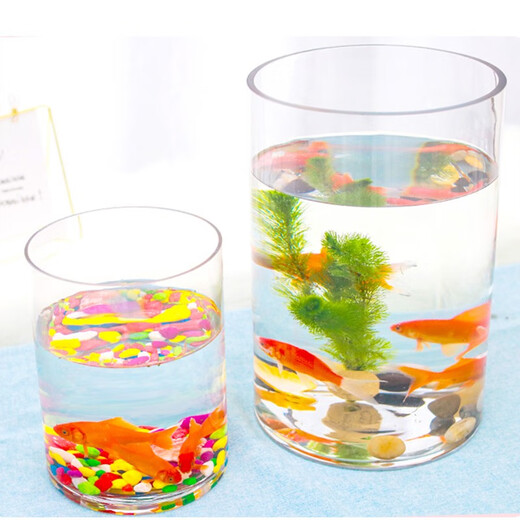 Gong Du Creative Desktop Fish Tank Ecological Round Glass Goldfish Tank Turtle Tank Mini Small Landscaping Home Aquarium Cylindrical Naked Tank Diameter 20CM Height 20CM