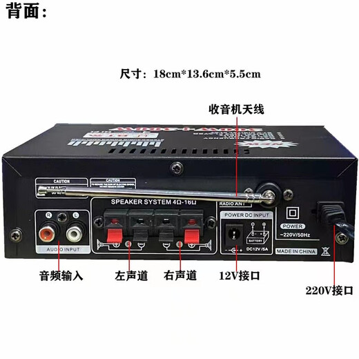 Starklok迷你小型功放机音箱功率放大 插卡U盘收音直流车载(12伏220V)功放 金色
