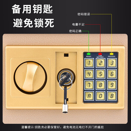 Manami Piggy Bank for Children Boys and Girls Gift New Electronic Code Key Lock Piggy Bank for Adults to Save Money Large Piggy Bank 2025 New Tuhao Gold Electronic Lock + Key Large Size - Save 100W What you keep is wisdom