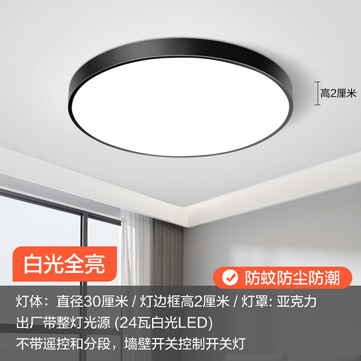 Micro led ceiling lamp living room stair lamp master bedroom lamp balcony aisle corridor modern simple atmosphere black round 30 cm white light - 24 watts