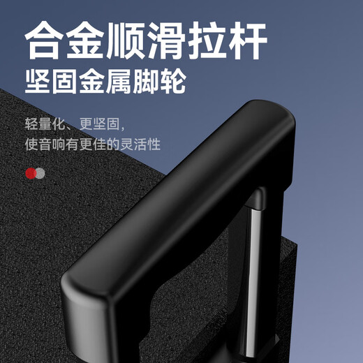 HiVi 12-inch stage-level outdoor mobile smart speaker ktv audio square dance speaker Bluetooth pull rod audio camping dual microphone MA12 electric guitar instrument speaker