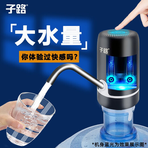 Zilu Electric Bottled Water Pump Automatic Water Adder Household Water Filler Water Pressure Pump Large Barrel Water Suction Dual Pump Black Basic Model + Stainless Steel Pipe