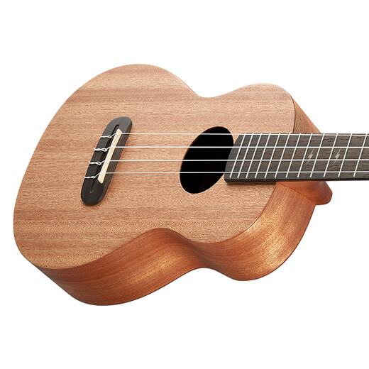 Rainbow Man (anuue) ukulélé ukulélé débutant uklili petite guitare 23 pouces tm2 pêche de pêche en bois de corent