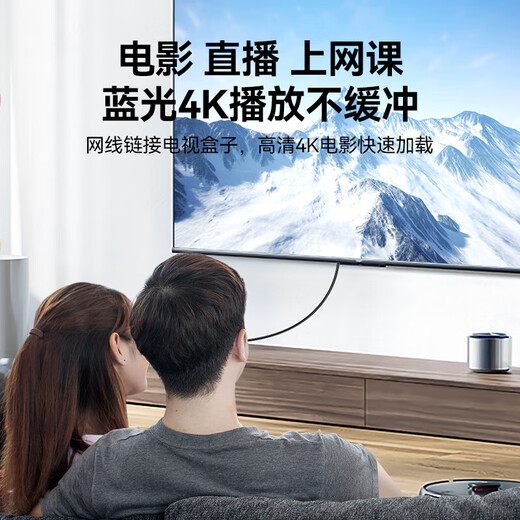 
Shengwei Category 6 network cable Gigabit high-speed broadband cable CAT6 engineering monitoring computer router network household finished jumper 8 core twisted pair black 0.3 meters LC-12003G