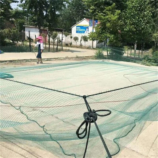 Shuaimi fruit tree anti-bird cover, anti-bird net, breeding net, chicken net, duck net, fishing net, poultry net, nylon net (from 20 square meters, 6 strands of 2 cm mesh/square meter