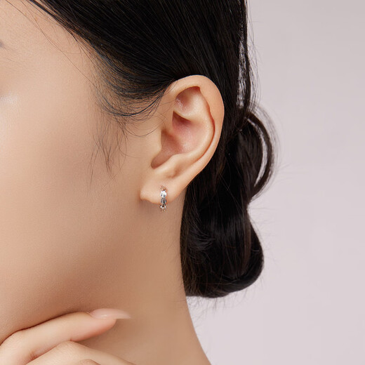 Liuguifu Jewelry PT950 Platinum Earrings Fengwei Platinum Earrings Earrings Women's Gift PT0200071 1.80g