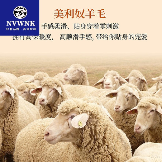 NVWNK2024冬季新款羊毛外套男羽绒内胆双面呢时尚休闲毛呢大衣爸爸冬装 咖色【可拆卸羽绒内胆】 180/XL