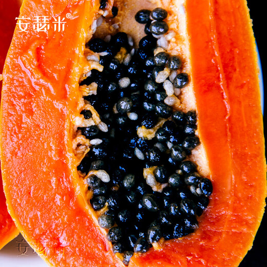Anselmi Fruit Papaya Seeds from the South Farmer Hongfei Papaya Seeds 5g/bag