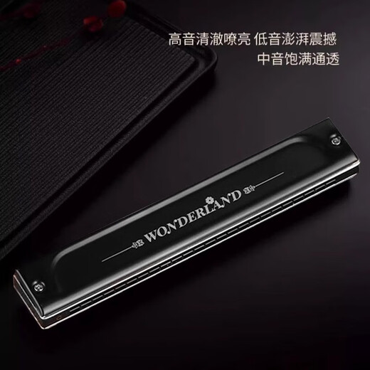 天鹅（SWAN）德国原装进口音簧24孔复音口琴A/B/C/D/E/F/G专业演奏级成人乐器 24孔圆弧款复音B调【不留指纹】
