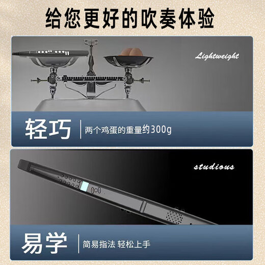 高乐高  GAOEGAO新款国产电吹管乐器大全电萨克斯笛子初学者中老年人葫芦丝电子管 演奏款S56标配黑色