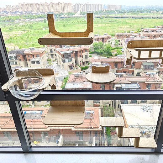 吸盘猫墙壁挂式免打孔玻璃猫爬架吊床实木猫窝豪华大型梯子太空舱猫抓板耐磨耐抓磨爪猫玩具上墙家具 豪华套餐