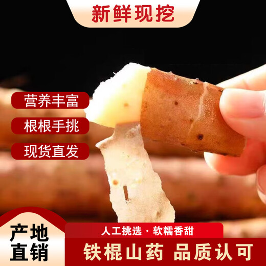 Authentic iron-bar yam, Huaishan yam, iron-bar yam, Jiaozuo Wenxian pink glutinous sweet fresh yam, iron-bar yam 2Jin Jin equal to 0.5kg, with box 10cm-20cm