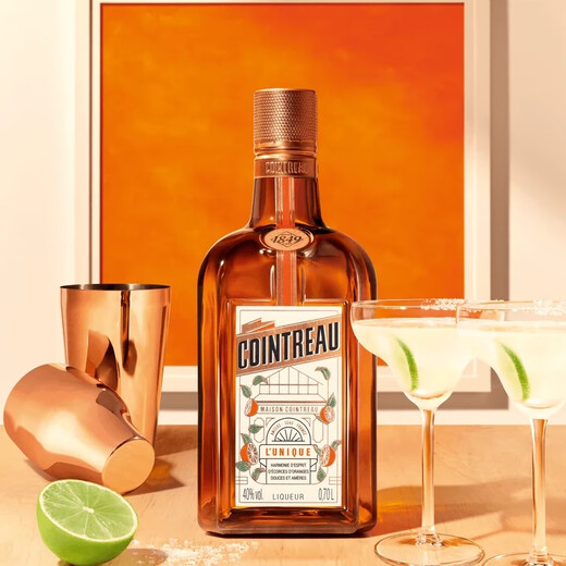 Mezcla absoluta para el hogar Vodka Absolute Junduli Liquor Bacardi White Ron Tequila Gin Combination Set 6 Botellas Combinación Home Mezcle Serie 2