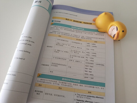 新东方 10天掌握PET语法  适用2024考试对应朗思B1青少版