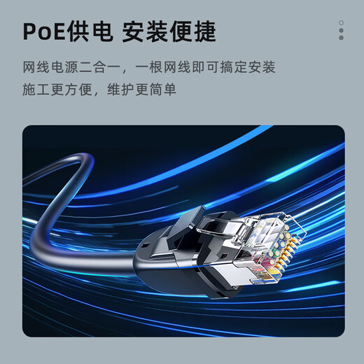 HIKVISION海康威视监控摄像头400万2K全彩夜视高温报警AI值岗检测手机直连网线供电经济版VN24-P(B) 2.8MM