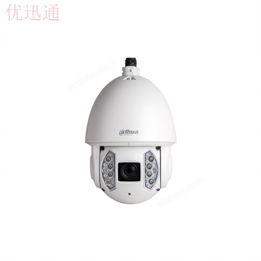 大华 DH-SD-6A9230UA-HNI 6寸200万像素 星光红外网络智能球机 白色 无