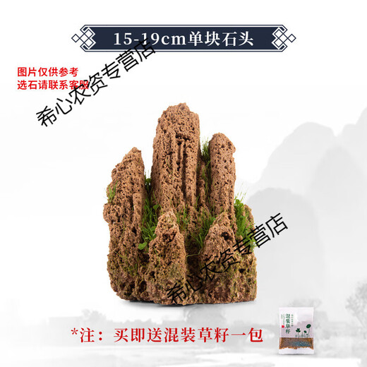 Shangshui stone absorbent stone rockery bonsai original stone Shangshui stone micro landscape landscaping strange stone ornamental stone matching decoration 15-19cm water absorbent stone does not include pot and comes with grass seeds and stones