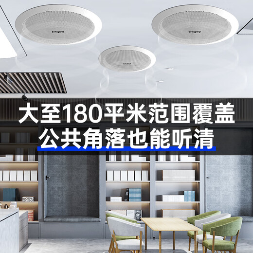先科（SAST）X6 吸顶喇叭音响功放套装 吊顶背景音乐公共广播音箱系统 吸顶套装一拖四