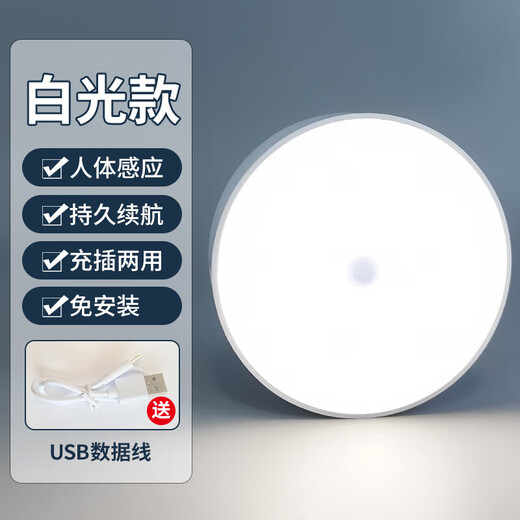 Dajiuwei Human Body Sensor Lamp Smart Night Light LED Light Control Charging Home Wardrobe Aisle Corridor Wiring-free Bedside Lamp White Light Charging Induction Model