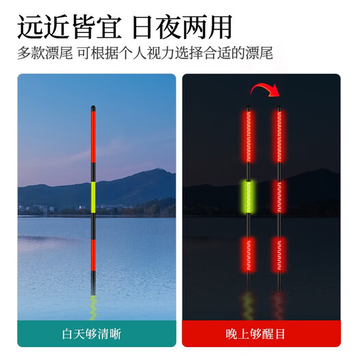 中逵 火金姑夜钓系列浮漂鱼漂加粗醒目夜光漂水无影电子漂垂钓用品渔具 火金姑X-201（日夜两用硬尾）