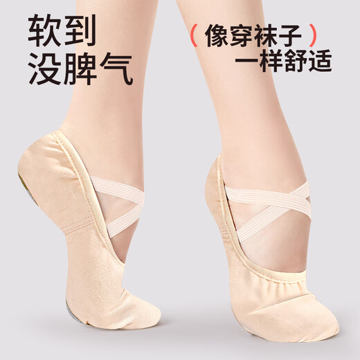 ZHIYOUBAN adult dance shoes ballet professional practice shoes women's soft sole lace-up children's dance yoga body cat claw shoes
