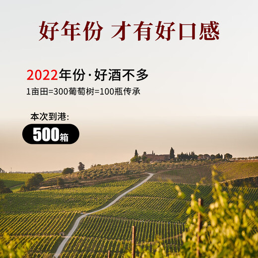 CANIS FAMILIARIS布多格法国原瓶进口红酒整箱 波尔多AOC 传承干红葡萄酒750ml*6瓶