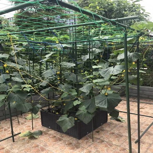 包塑钢管园艺支架豆角黄瓜爬藤支撑杆花园庭院植物牵引固定爬藤架 直径16mm长度210cm【10支】 中等